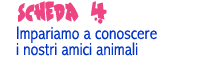 Scheda 4