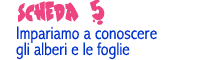 Scheda 5